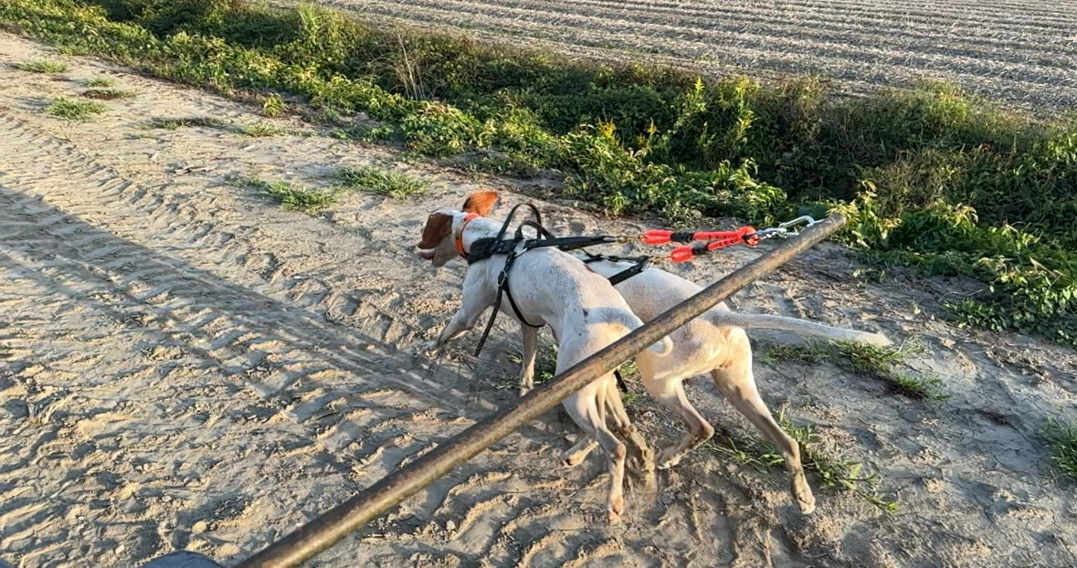 Roading Rigs (double) – Cable Gangz