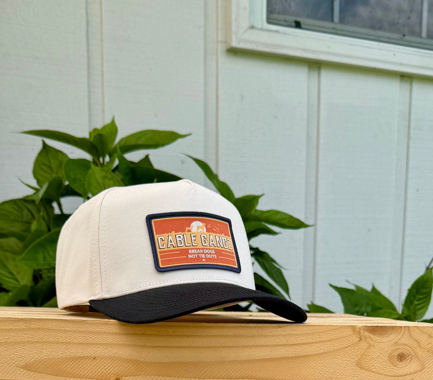 Structured Logo Hats
