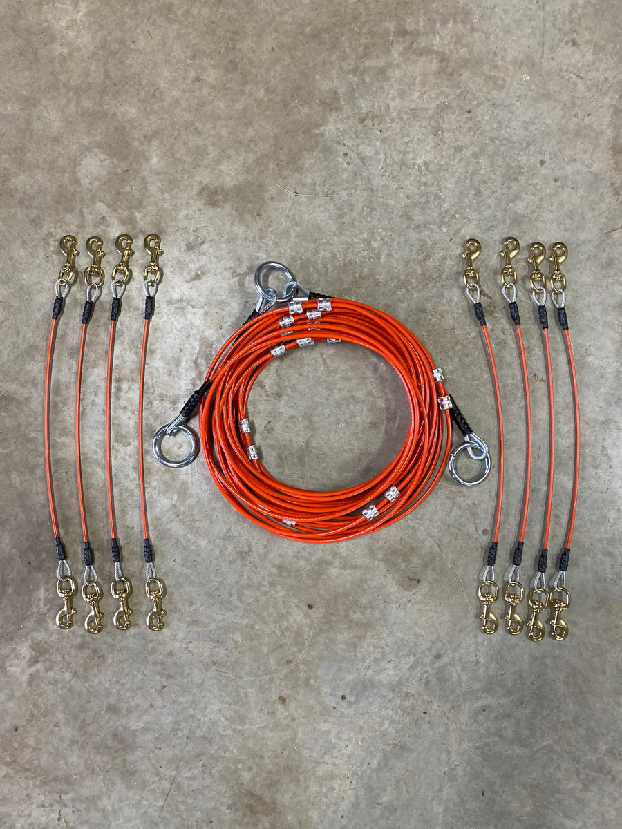 8 Dog ALL AGE Cable Gang Cable Gangz